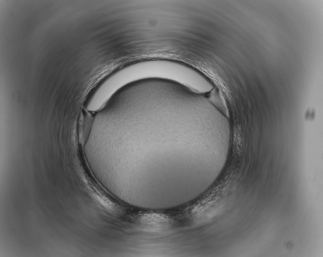 X0000097910397200804111119