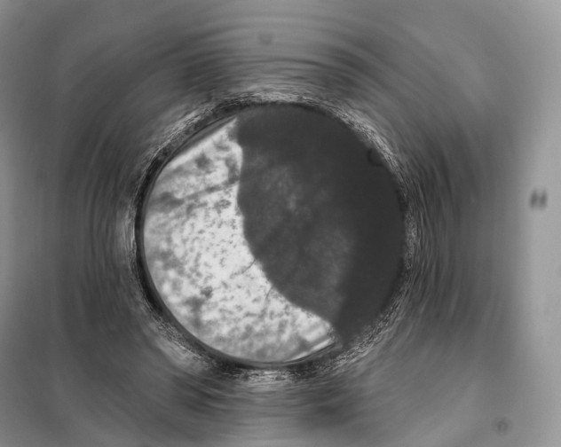 X0000097910398200804111119