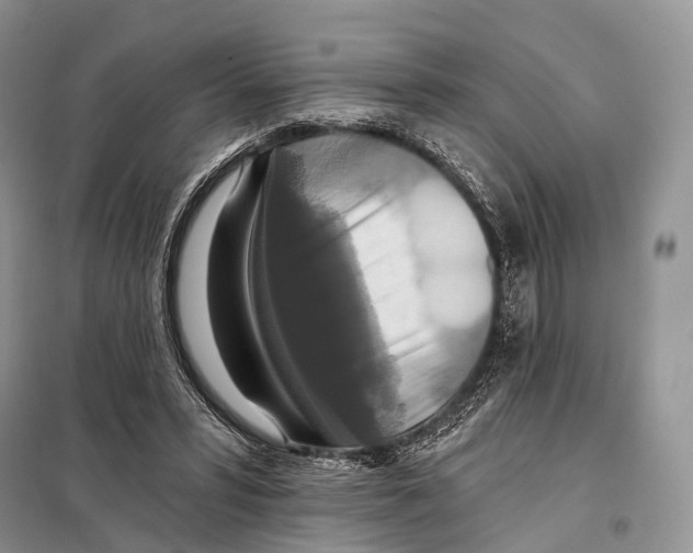 X0000097910399200804111119