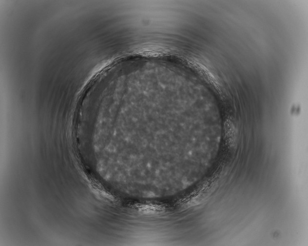 X0000097910400200804111119