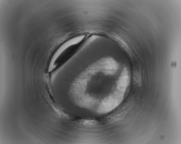 X0000097910401200804111118