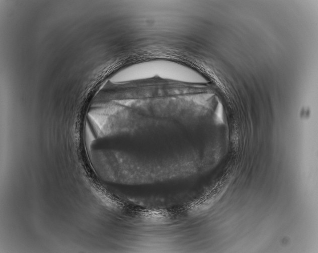 X0000097910402200804111118