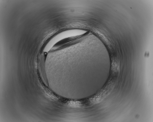 X0000097910403200804111118