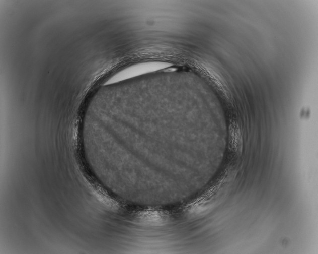 X0000097910404200804111118