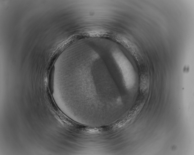 X0000097910405200804111118