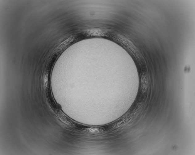 X0000097910406200804111118