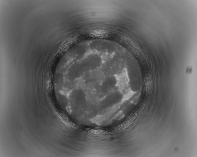 X0000097910408200804111118