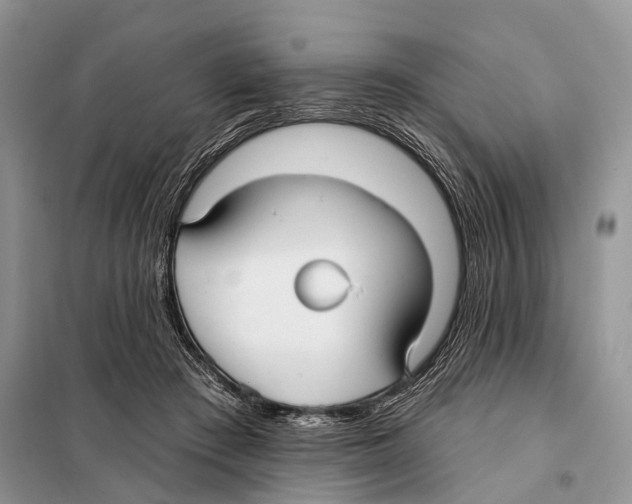 X0000097910409200804111118