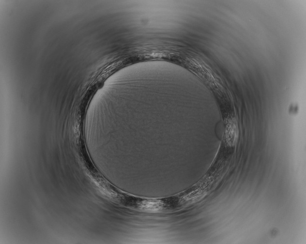 X0000097910410200804111118