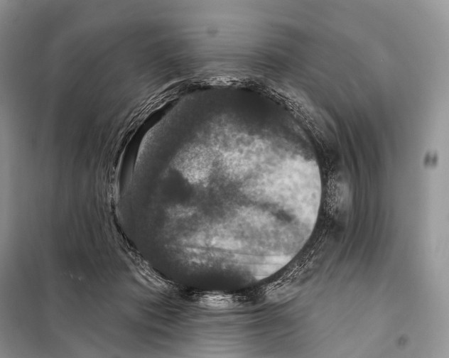 X0000097910413200804111118