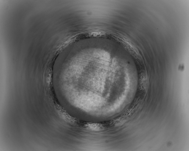 X0000097910417200804111118