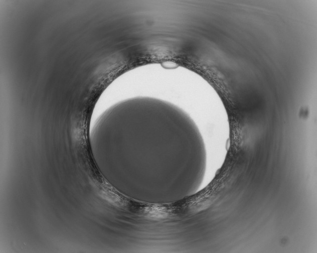 X0000097910419200804111118