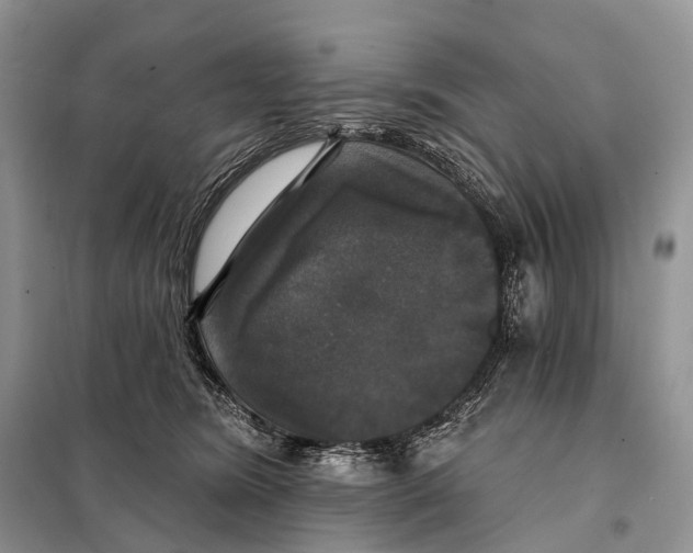 X0000097910420200804111118