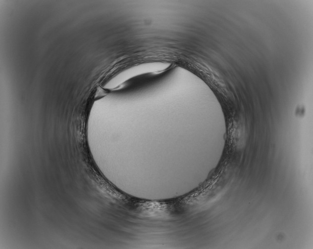 X0000097910421200804111118