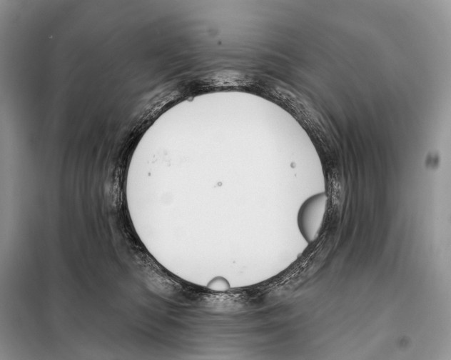 X0000097910422200804111118