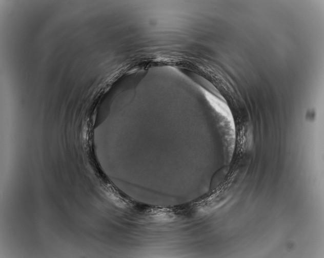 X0000097910424200804111118