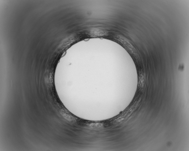 X0000097910426200804111118