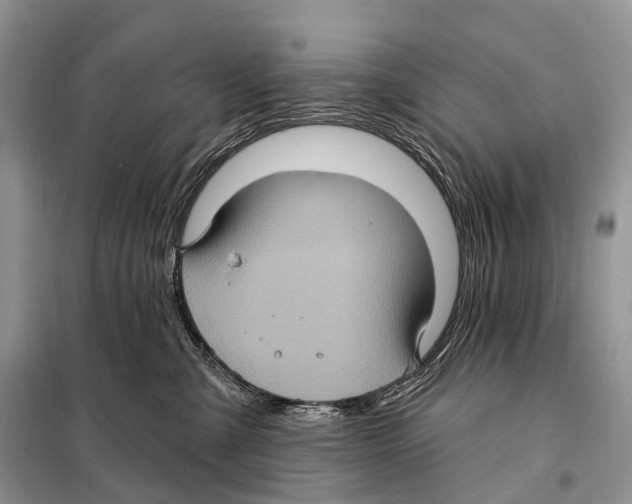 X0000097910427200804111118