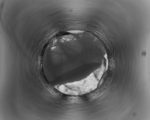 X0000097910428200804111118