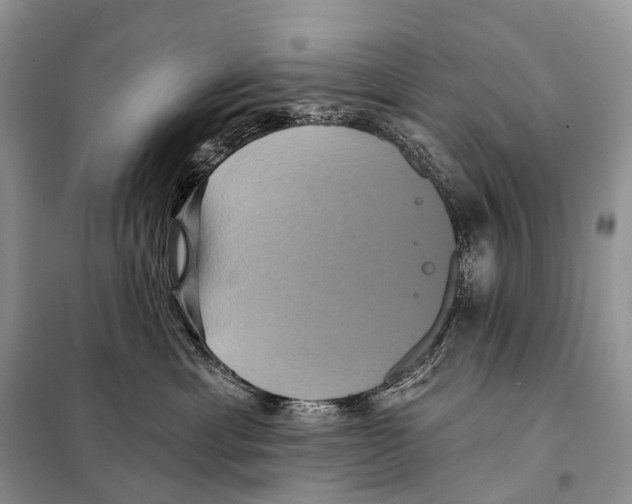 X0000097910429200804111118