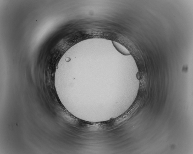 X0000097910430200804111118