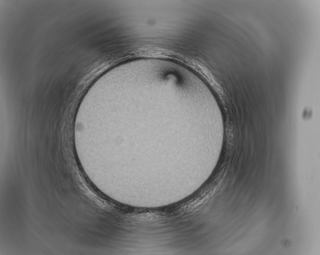 X0000097910433200804111117