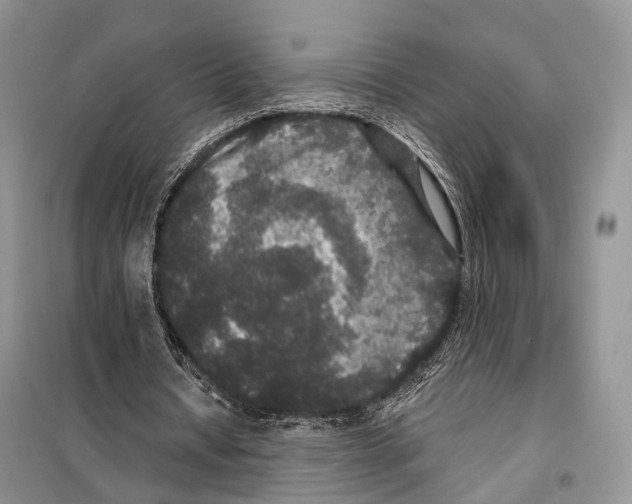 X0000097910434200804111117