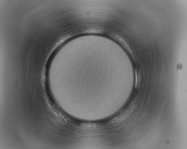 X0000097910435200804111117