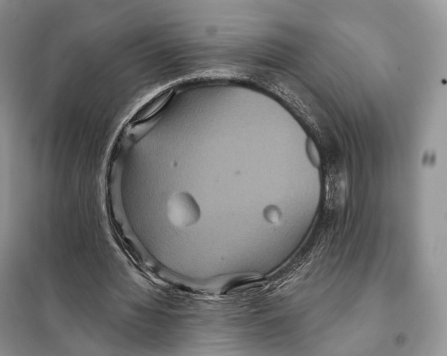 X0000097910436200804111117