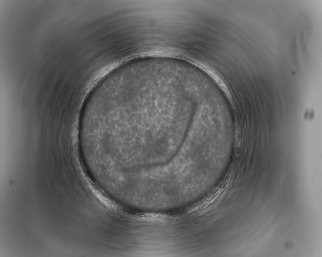 X0000097910437200804111117