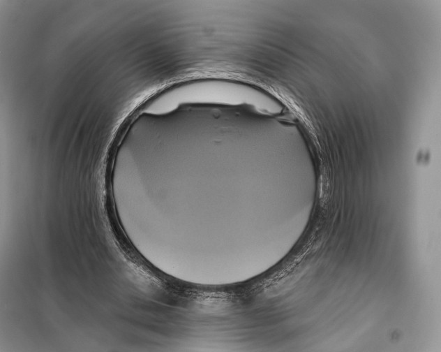 X0000097910438200804111117