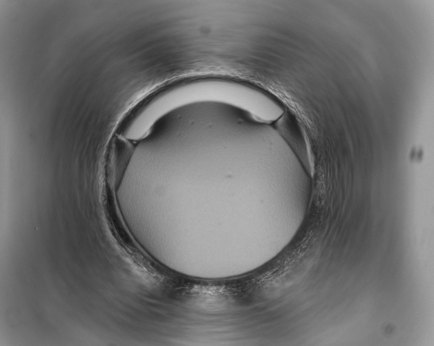 X0000097910440200804111117