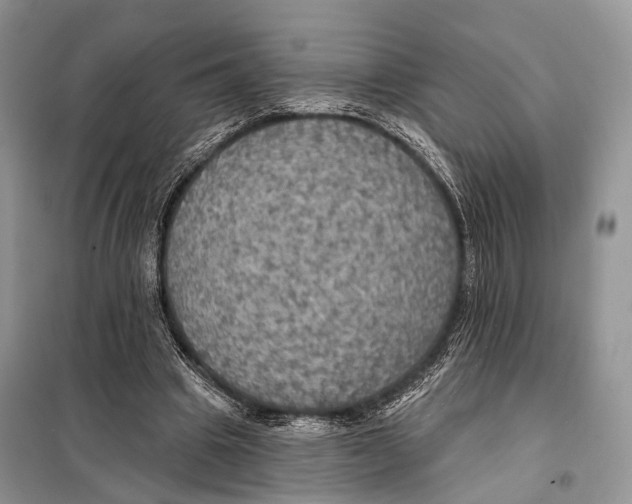 X0000097910441200804111117