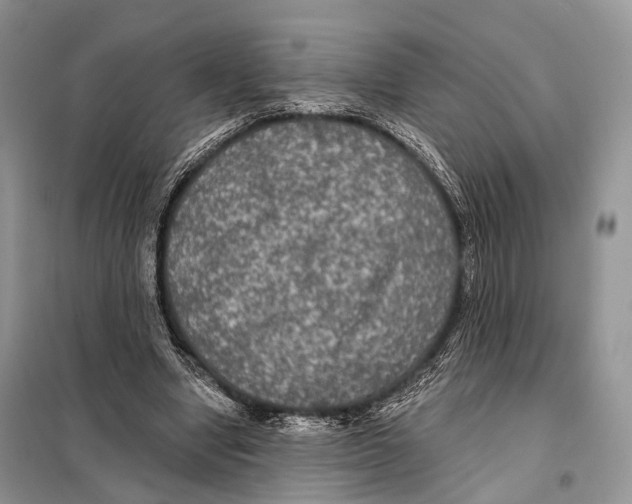 X0000097910442200804111117