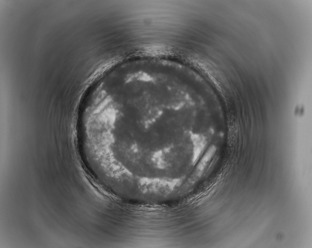 X0000097910443200804111117