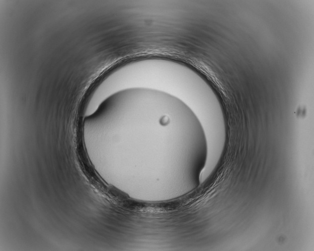 X0000097910444200804111117