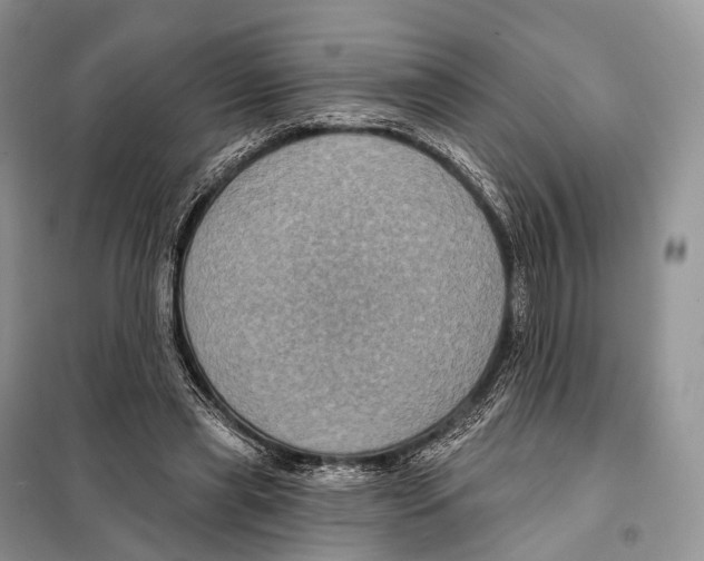 X0000097910445200804111117