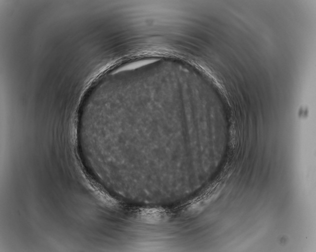 X0000097910446200804111117