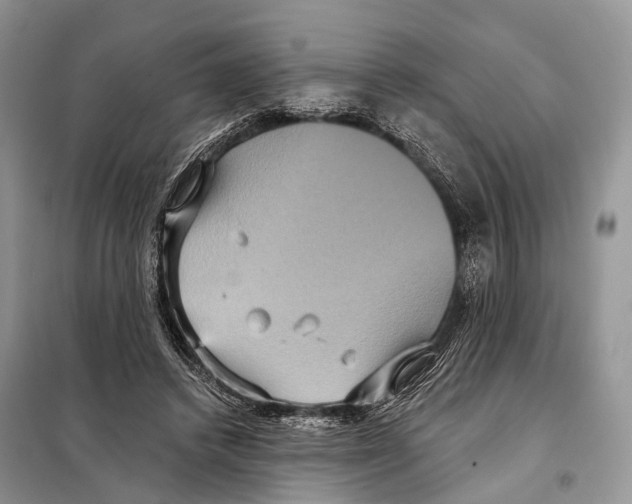 X0000097910448200804111117