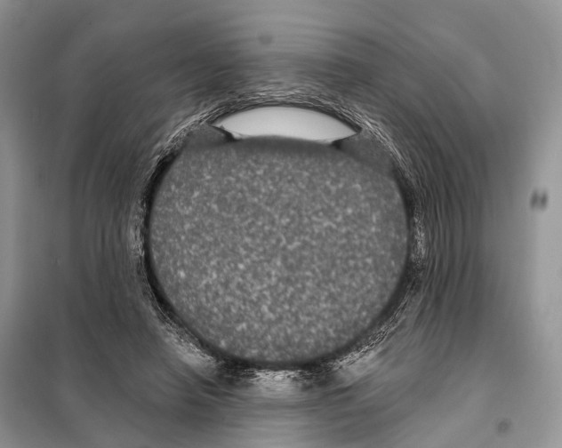 X0000097910450200804111117