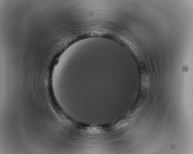 X0000097910451200804111117