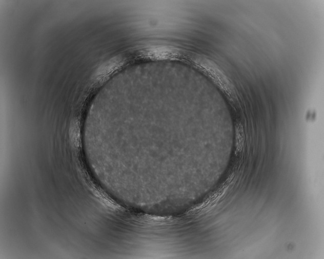 X0000097910453200804111117