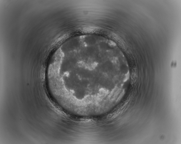 X0000097910454200804111117