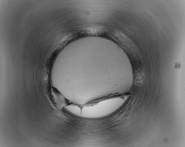 X0000097910456200804111117