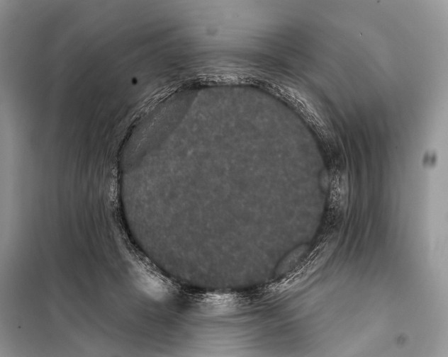 X0000097910457200804111117