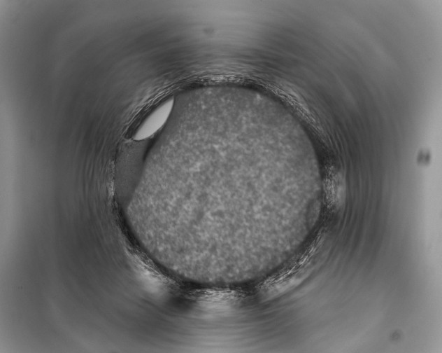 X0000097910458200804111117