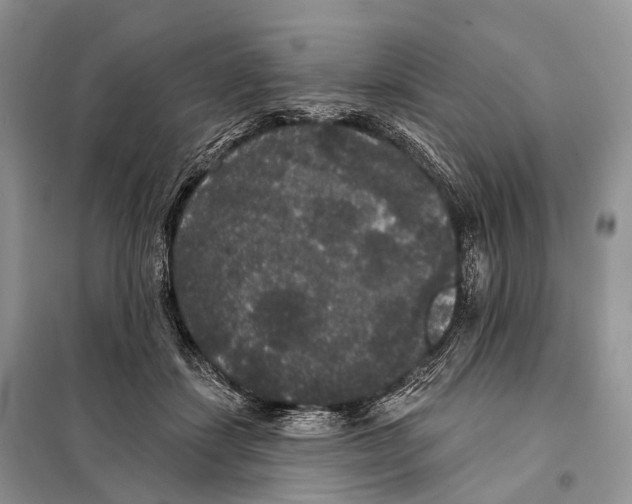 X0000097910459200804111117