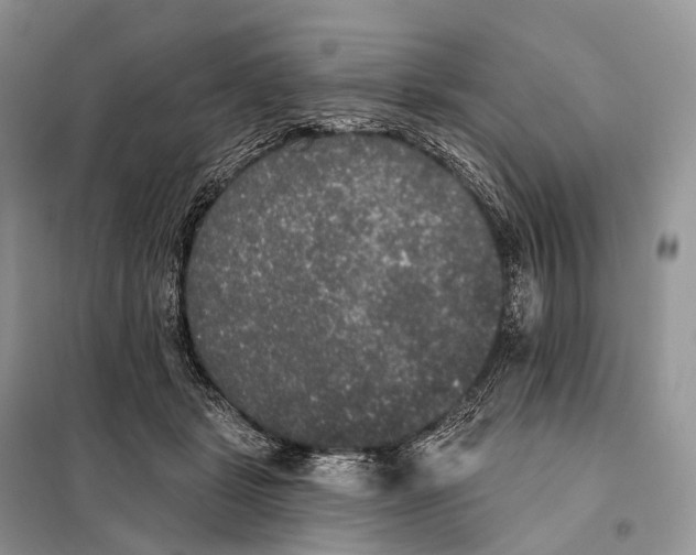 X0000097910461200804111117