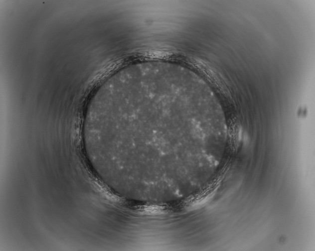 X0000097910462200804111117