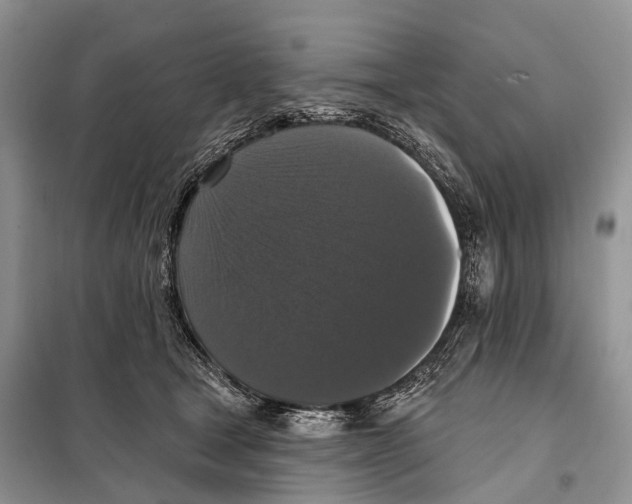 X0000097910465200804111117